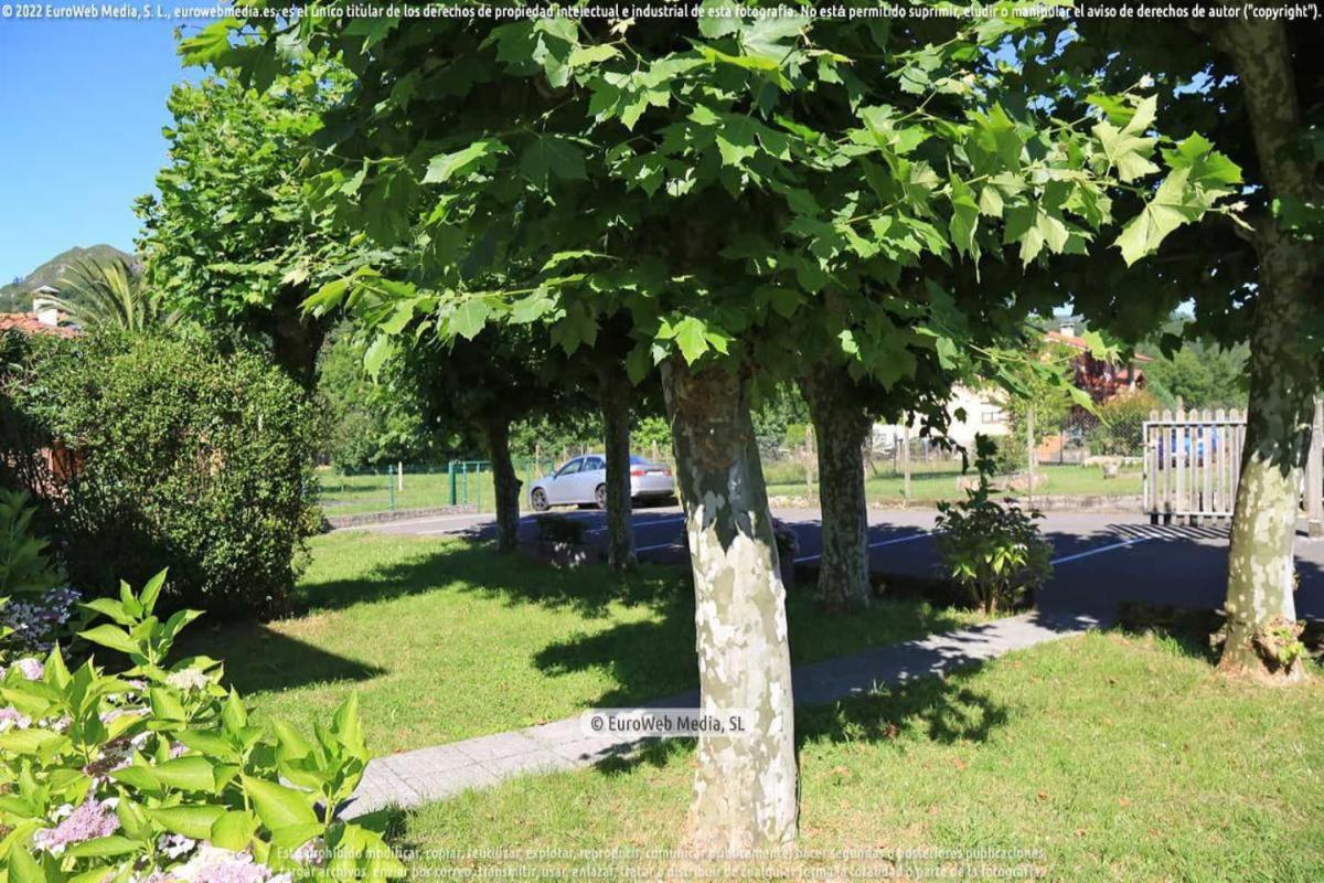 El Puentin Del Sella Con Wifi Y Parking Gratuito Appartement Onís Buitenkant foto